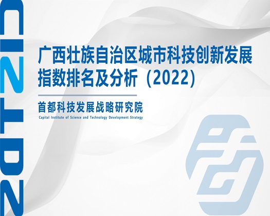 操骚穴电影【成果发布】广西壮族自治区城市科技创新发展指数排名及分析（2022）